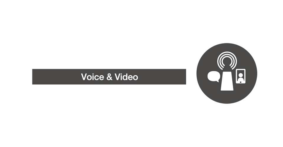 Voice ＆ Video